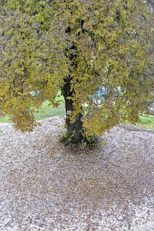 L'Escale En Ubaye Bed & Breakfast Saint-Pons  Exterior photo